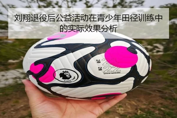 刘翔退役后公益活动在青少年田径训练中的实际效果分析